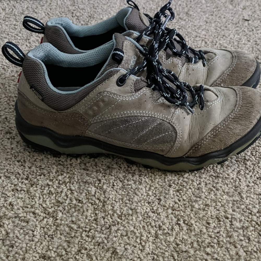 Ecco Shoes